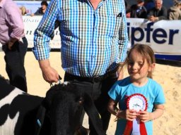 2019_ausstellung polling_578